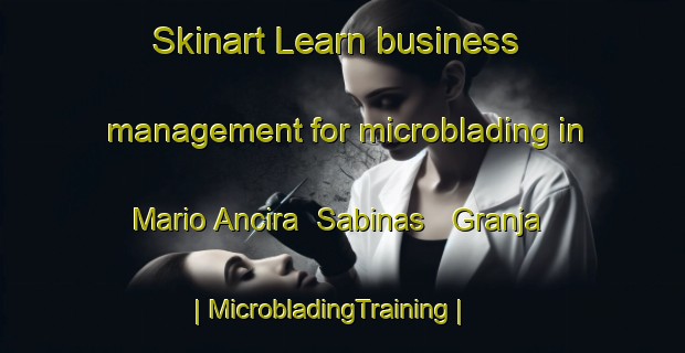 Skinart Learn business management for microblading in Mario Ancira  Sabinas   Granja | MicrobladingTraining | MicrobladingClasses | SkinartTraining-Mexico